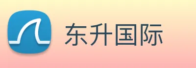 东升国际 logo